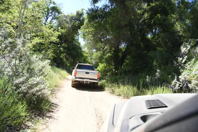 DSC_5926 (Large).JPG